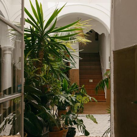 Hostal Africa Tarifa Exterior foto